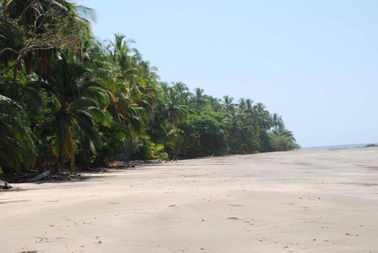 El Nido Del Tucan Villa Torio Екстериор снимка