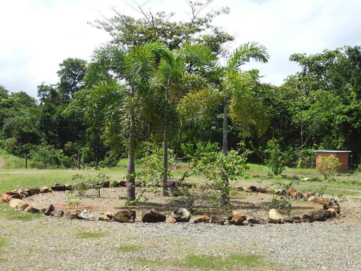 El Nido Del Tucan Villa Torio Екстериор снимка