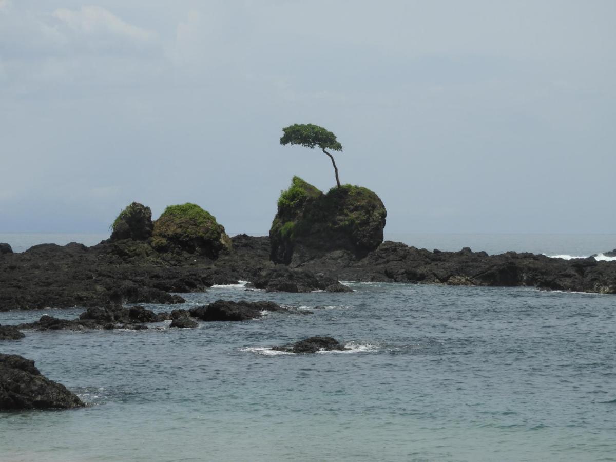 El Nido Del Tucan Villa Torio Екстериор снимка